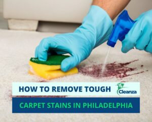 Read more about the article Battling Carpet Stains in Philadelphia: A Cleanza Guide