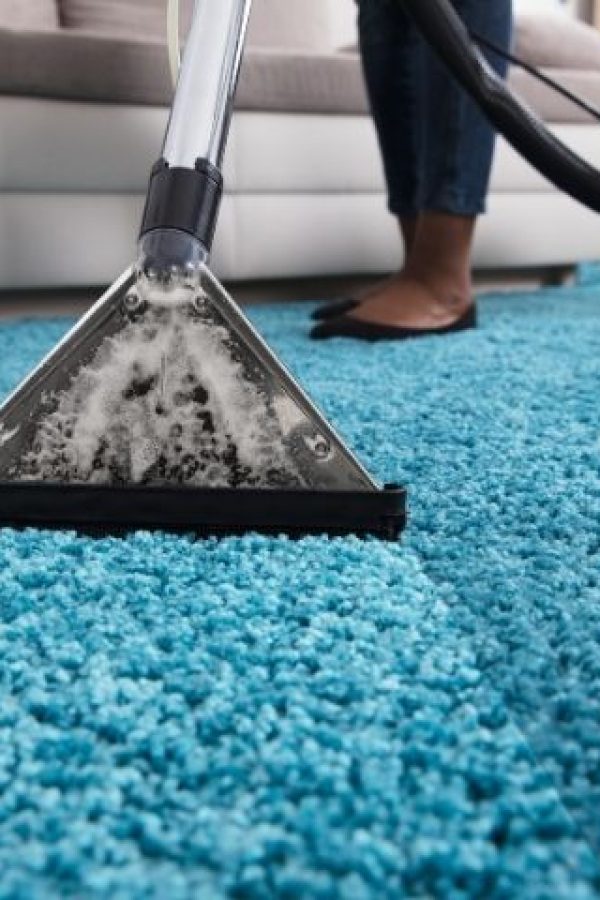 Why Choose Cleanza Carpet Cleaning Company for Pet Stain and Odor Removal in Philly